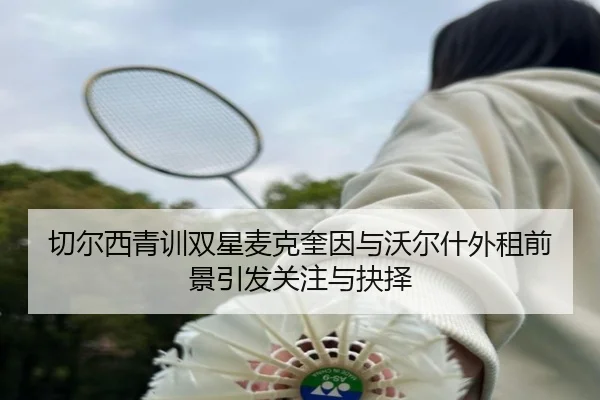 切尔西青训双星麦克奎因与沃尔什外租前景引发关注与抉择